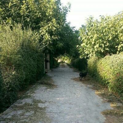 فروش کارخانه پلاستو فوم بر جاده بروجرد خرم آباد