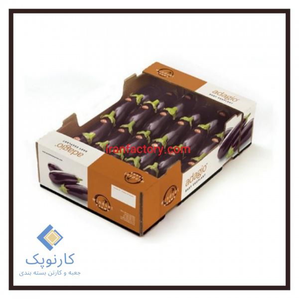 طراحی و تولید کارتن مخصوص صادراتی