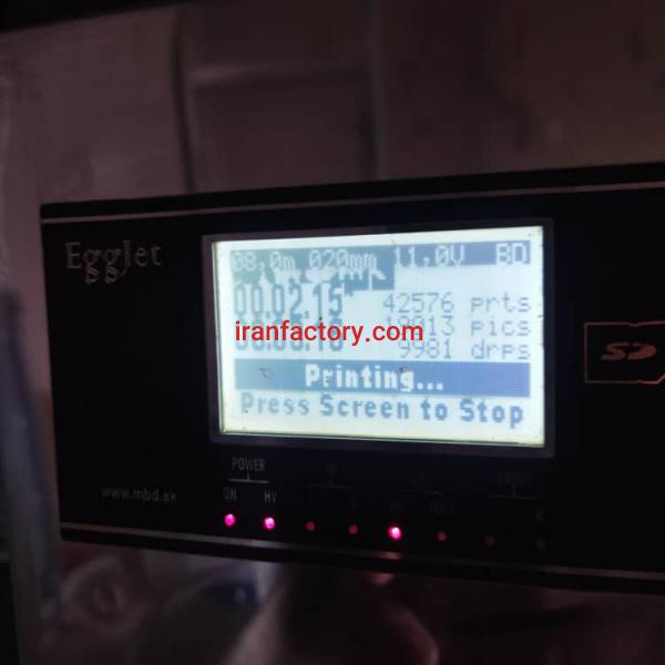 فروش جت پرینتر تخم مرغ