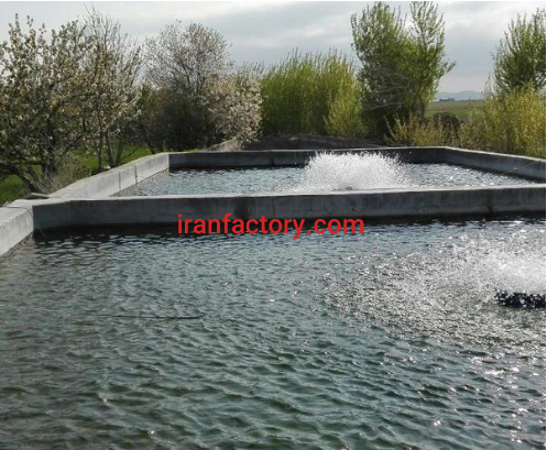 فروش 3000 متر پرورش ماهی در مشگین شهر اردبیل