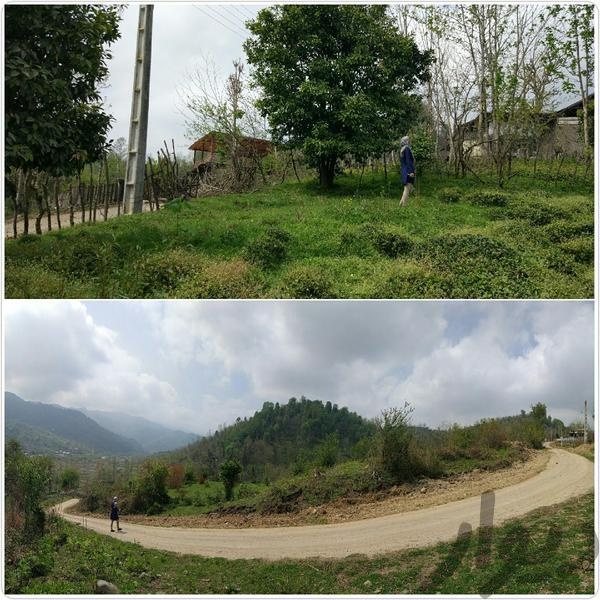 فروش زمین445 متر با پروانه ساخت در لاهیجان