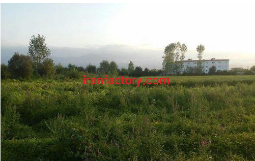 نیاز به سرمایه گذار جهت احداث گلخانه مکانیزه در تنکابن