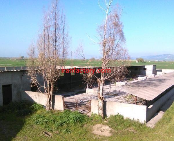 فروش گاوداری شرایطی دراستان گلستان