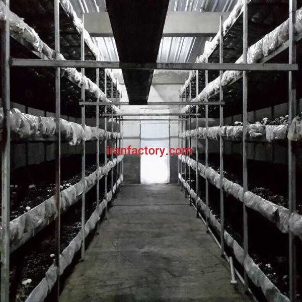 فروش کارخانه کاملا صنعتى تولید و بسته بندى قارچ