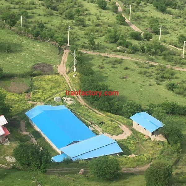 فروش دامداری در مرزن آباد بهترین فرصت سرمایه گذاری