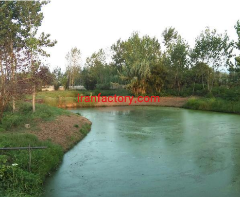 فروش 23450 متر استخر پرورش ماهی و زمین کشاورزی در رشت