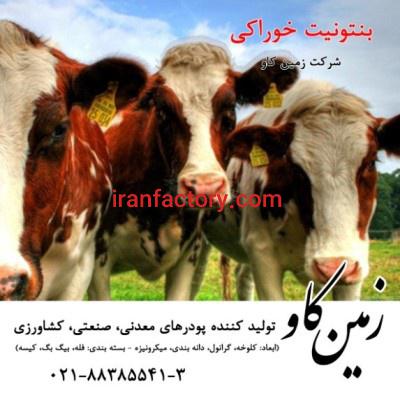 خواص بنتونیت در خوراک دام