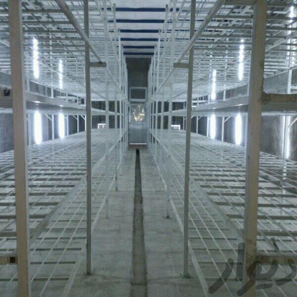فروش کارخانه تولید قارچ در مشهد