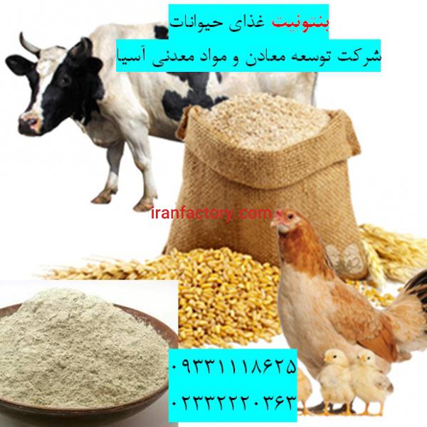 فروش بنتونیت کلسیمی در تهیه خوراک دام و طیور