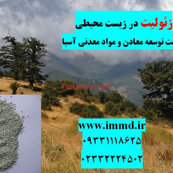 فروش زئولیت در حذف آلاینده های زیست محیطی