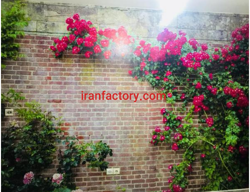 پخش پوستر های سه بعدی در بندر ماهشهر