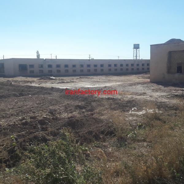 مرغداری و مزرعه بوقلمون در تاکستان استان قزوین