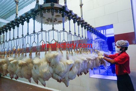 فروش گشتارگاه مرغ سمنان