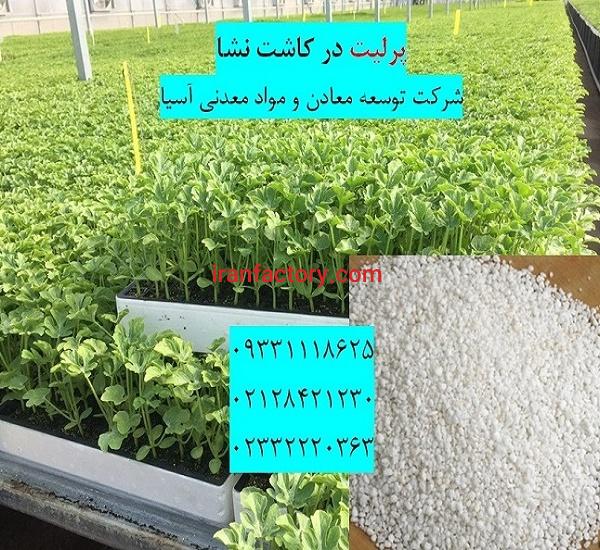 کاربرد پرلیت درکاشت نشا و قلمه زنی