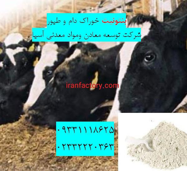 فروش بنتونیت ویژه تهیه خوراک دام و طیور
