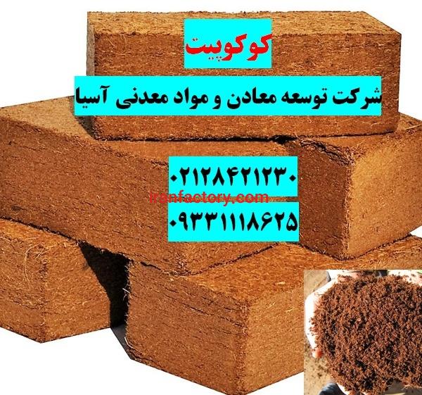 فروش ویژه کوکوپیت