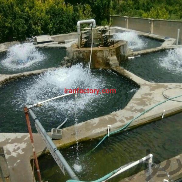 فروش پرورش ماهی قزل آلا در تبریز