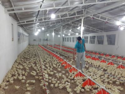 فروش مرغداری در اصفهان ـ خرید مرغداری در اصفهان