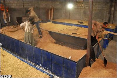 فروش کارخانه برنج کوبی در رشت ـخرید کارخانه برنج کوبی درفومن