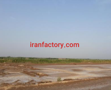 فروش 71 هزار متر زمین در آبادان