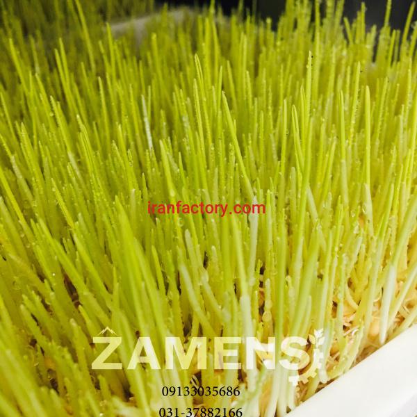 دستگاه تولید جوانه های خوراکی تک کابین