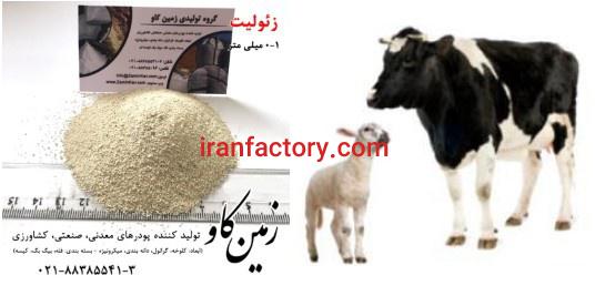 اثر زئولیت در شکمبه نوشخوارکنندگان (Zeolite