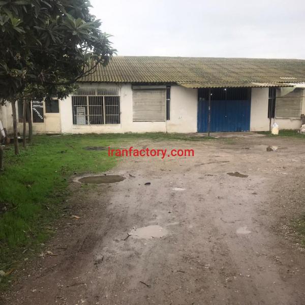 فروش کارخانه شالیکوبی شمال