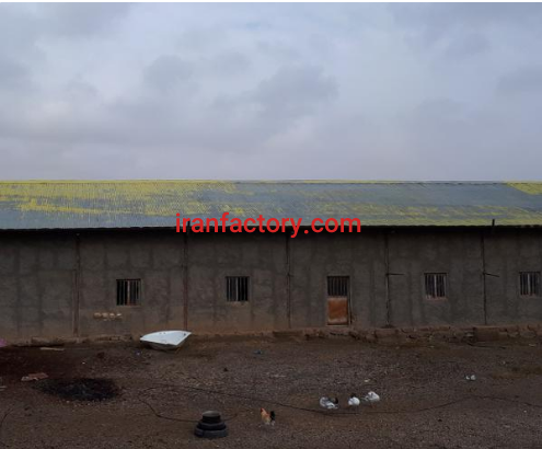 فروش 40 هزار متر گلخانه و استخر در تاکستان