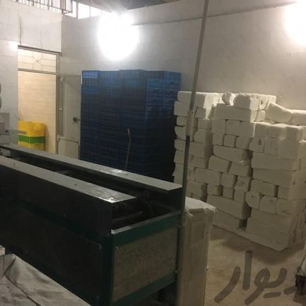 کارخانه قند صنعتی (قند ناب زنجان) در زنجان