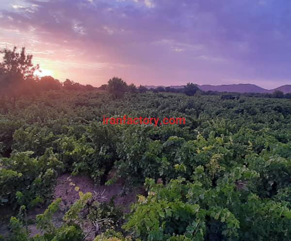 مشاور کود برای مزرعه