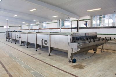 فروش تونل پاستوریزاتور