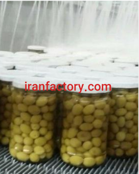 فروش کارخانه خیارشور و زیتون شور در شهرک صنعتی مرودشت