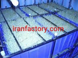 مشاور خرید دستگاه تولید جوانه