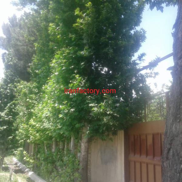 فروش باغ ویلا فلاورجان اصفهان