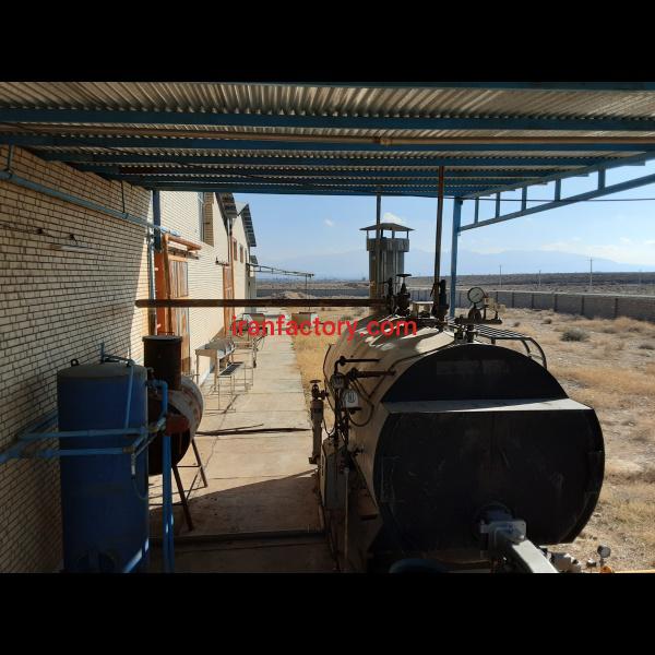 فروش خط تولید خیار شور