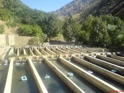 فروش استخر پرورش ماهی در مازندران_خرید استخر پرورش ماهی 