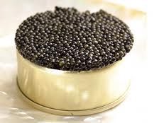 فروش استخر پرورش ماهیان خاویاری در مازندران