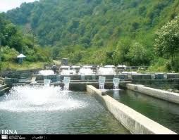 فروش استخر پرورش ماهی در مازندران_خرید استخر پرورش ماهی