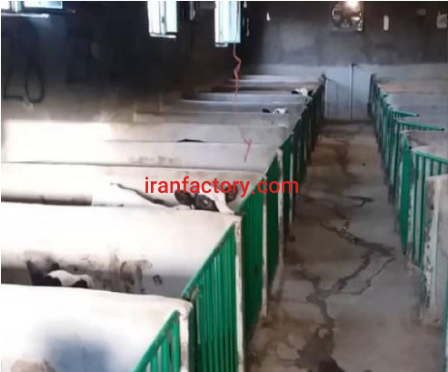 فروش 3300 متر دامداری در سلفچگان