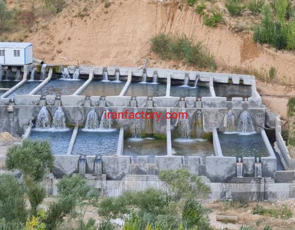 فروش پرورش ماهی در فارس