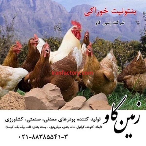 اثرات بنتونیت فرآوری شده در جیره طیور Zeolite