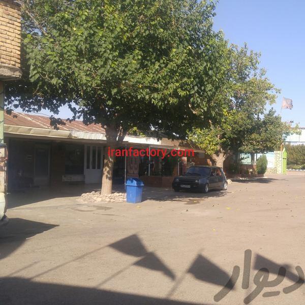 فروش دامداری بروز قزوین