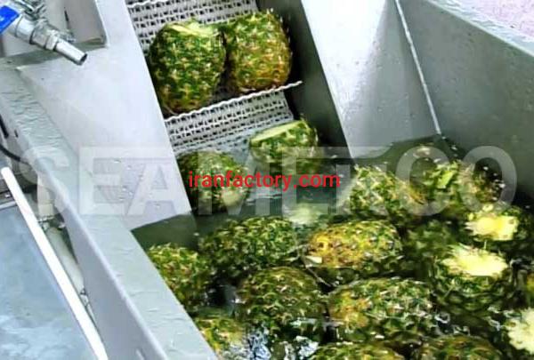 سازنده خط تولید کمپوت آناناس سیمرکو تهران