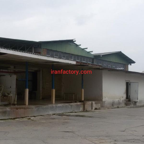 فروش کشتارگاه مرغ در گلستان