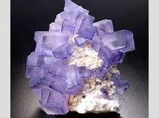 فروش  فلورين مشهد (خراسان رضوي )