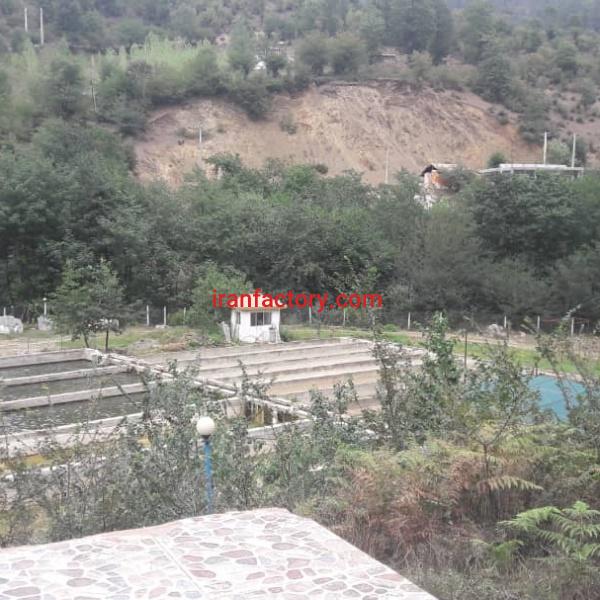 فروش استخرپرورش ماهی درگیلان