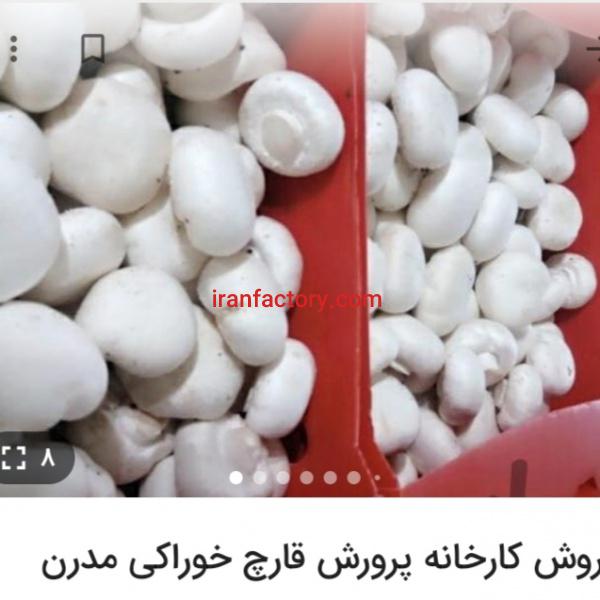فروش کارخانه تولید قارج تهران