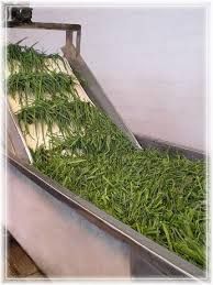 فروش خط خشک کن تونلی میوجات و سبزیجات 