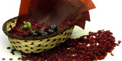 فروش خط تولید لواشک و برگ زردآلو