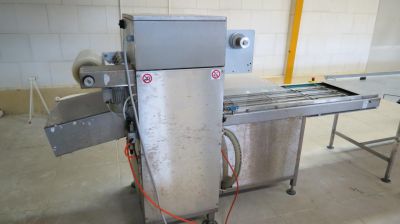 فروش  خط تولید سالاد